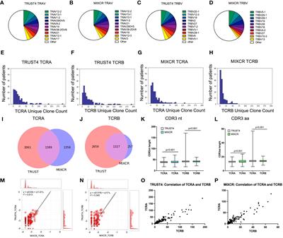 Features of the TCR repertoire associate with patients' clinical and molecular characteristics in acute myeloid leukemia